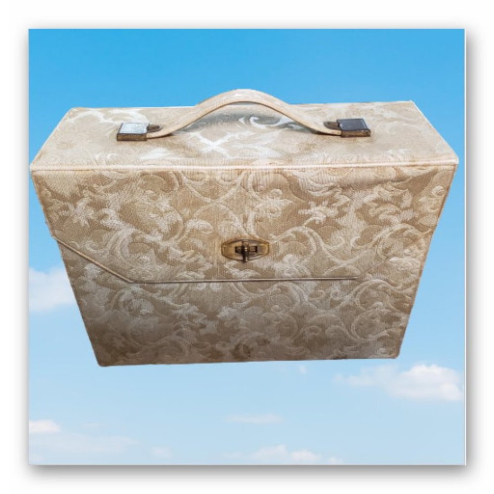 Vintage Viviane Woodard cosmetic carrying case large 12-in x9-in x 4-in clasp